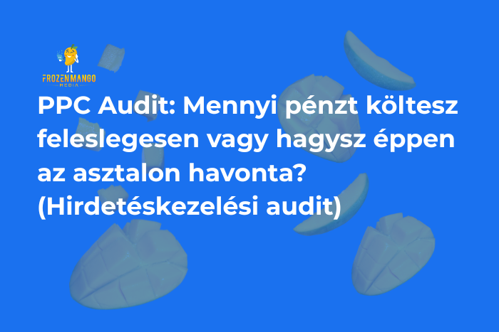 ppc audit