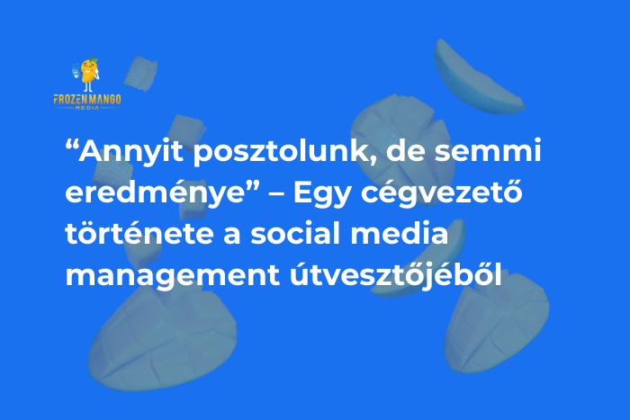 social media management